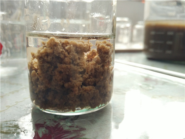 低溫低濁水處理藥劑用哪種？